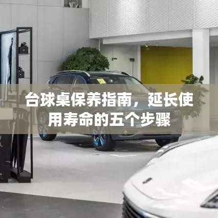 台球桌保养秘籍,五步延长使用寿命指南