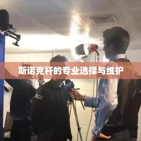 斯诺克杆，专业挑选与保养之道