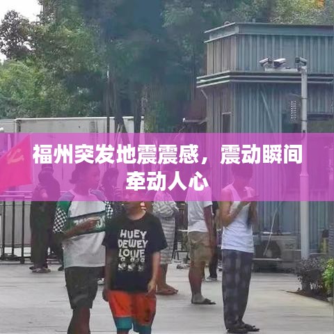 福州突发地震震感,震动瞬间牵动人心