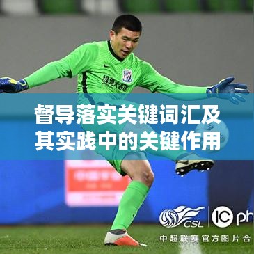 督导落实关键词汇及其实践中的关键作用