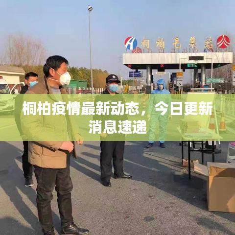 桐柏疫情最新动态，今日更新消息速递