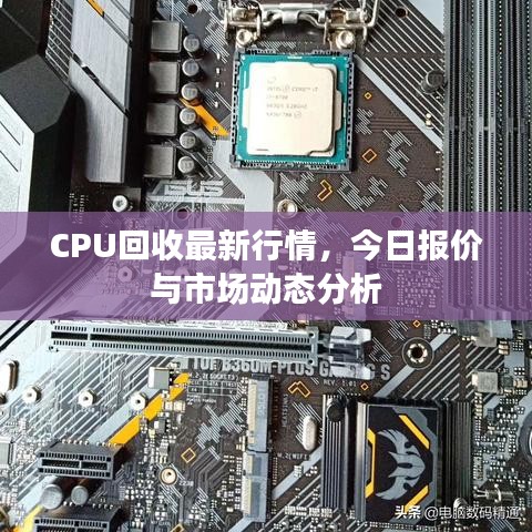 CPU回收最新行情，今日报价与市场动态分析
