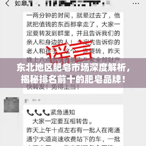 东北地区肥皂市场深度解析，揭秘排名前十的肥皂品牌！