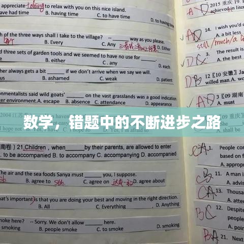数学,错题中的不断进步之路