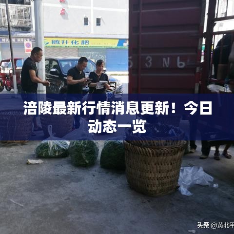 涪陵最新行情消息更新!今日动态一览