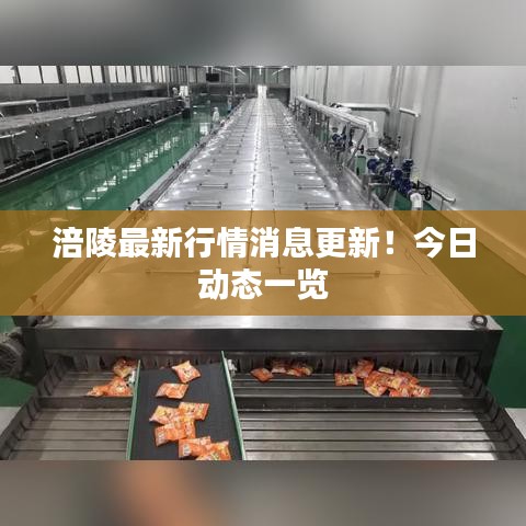 涪陵最新行情消息更新!今日动态一览