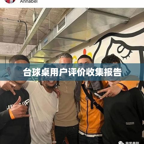 台球桌用户评价综述报告