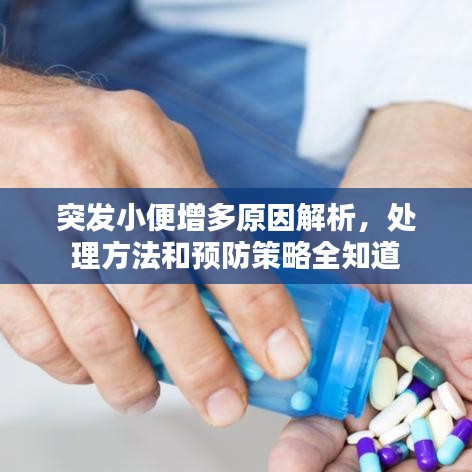 突发小便增多原因解析，处理方法和预防策略全知道