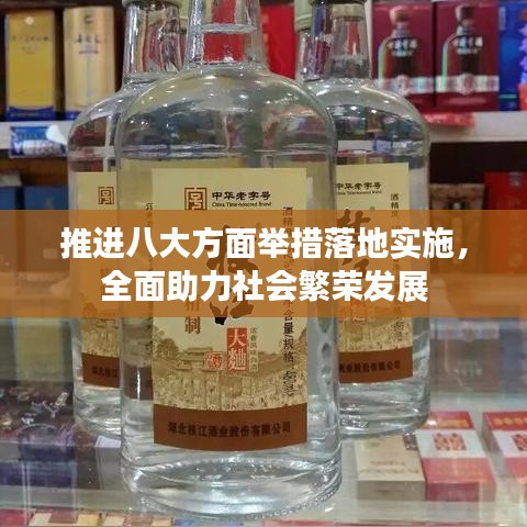 推进八大方面举措落地实施，全面助力社会繁荣发展