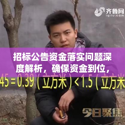 招标公告资金落实问题深度解析，确保资金到位，助力项目顺利进行