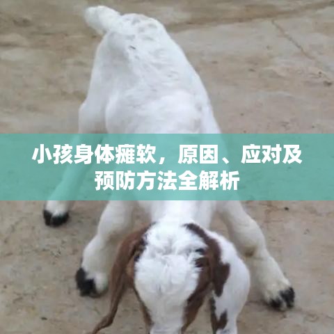 小孩身体瘫软，原因、应对及预防方法全解析