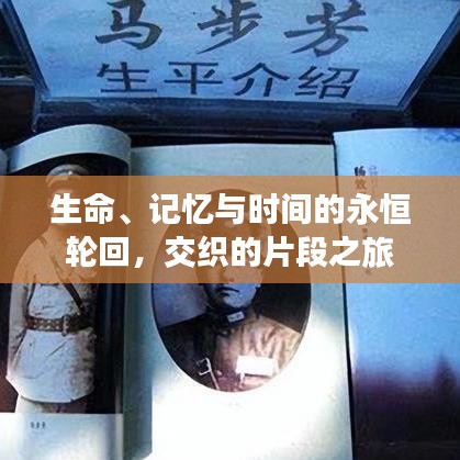 生命、记忆与时间的永恒轮回，交织的片段之旅