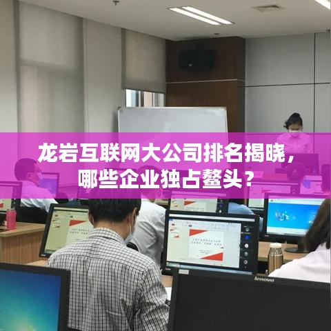 龙岩互联网大公司排名揭晓，哪些企业独占鳌头？
