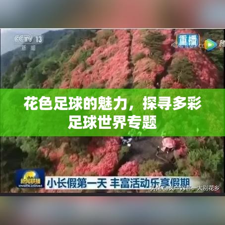 花色足球的魅力，探寻多彩足球世界专题