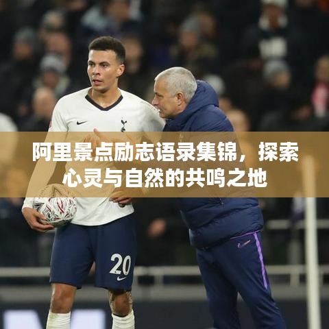 阿里景点励志语录集锦，探索心灵与自然的共鸣之地