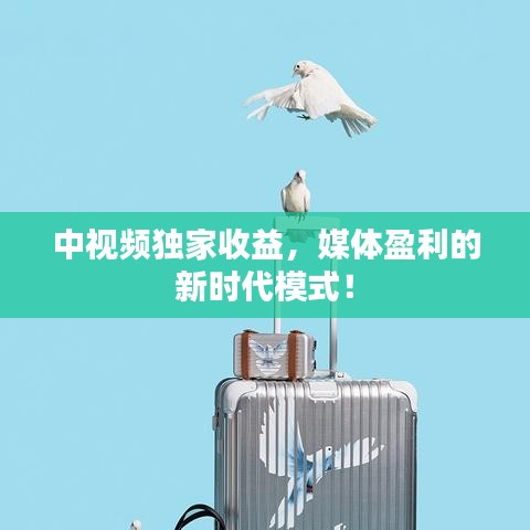 中视频独家收益，媒体盈利的新时代模式！