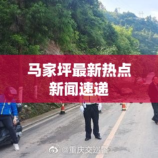 马家坪最新热点新闻速递