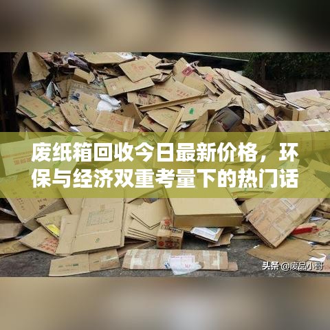 废纸箱回收今日最新价格，环保与经济双重考量下的热门话题