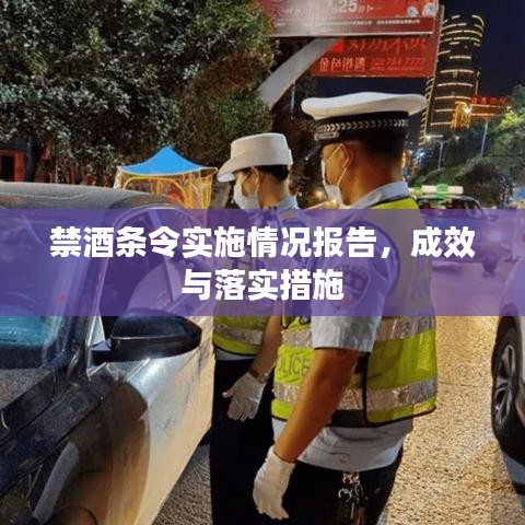 禁酒条令实施情况报告，成效与落实措施