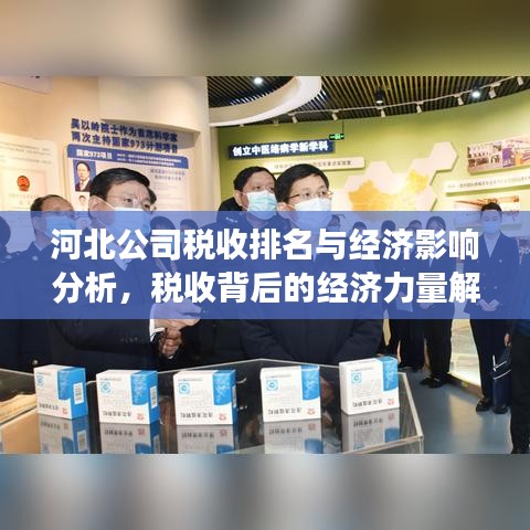 河北公司税收排名与经济影响分析，税收背后的经济力量解读