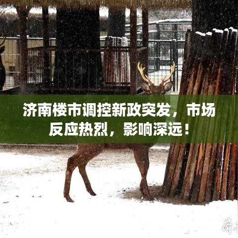 济南楼市调控新政突发，市场反应热烈，影响深远！