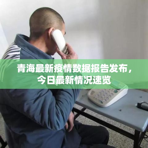 青海最新疫情数据报告发布，今日最新情况速览