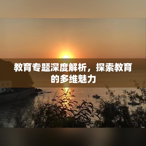 教育专题深度解析，探索教育的多维魅力