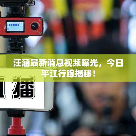 汪涵最新消息视频曝光，今日平江行踪揭秘！