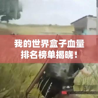 我的世界盒子血量排名榜单揭晓!