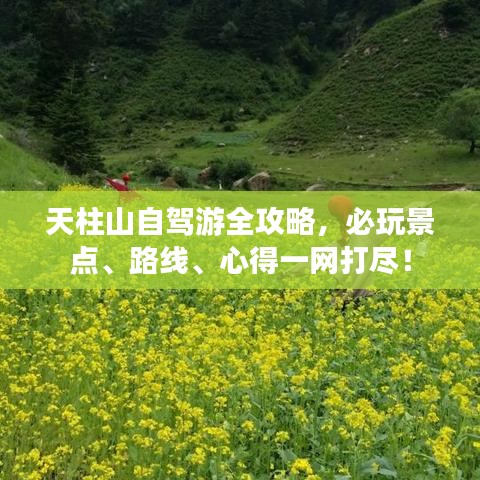 天柱山自驾游全攻略，必玩景点、路线、心得一网打尽！