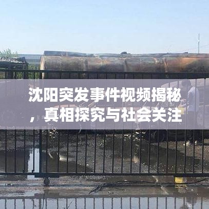 沈阳突发事件视频揭秘,真相探究与社会关注焦点