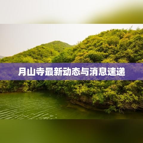 月山寺最新动态与消息速递