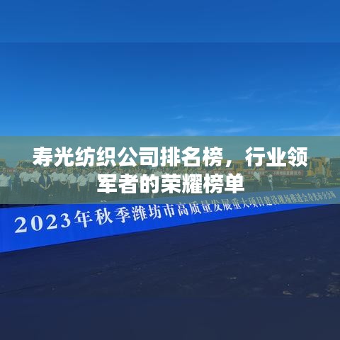 寿光纺织公司排名榜，行业领军者的荣耀榜单