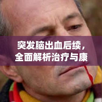突发脑出血后续，全面解析治疗与康复之路，百度收录标准标题。