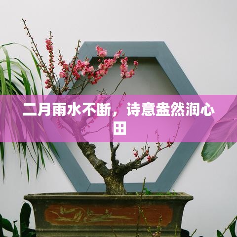 二月雨水不断,诗意盎然润心田