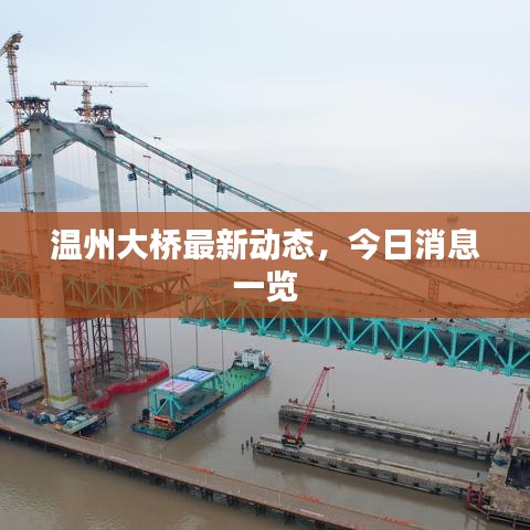 温州大桥最新动态，今日消息一览