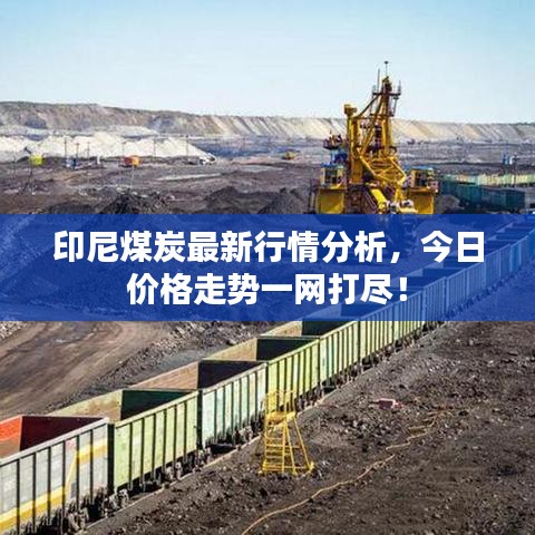 印尼煤炭最新行情分析，今日价格走势一网打尽！