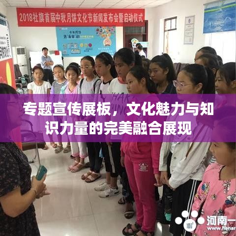 专题宣传展板，文化魅力与知识力量的完美融合展现