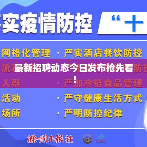 最新招聘动态今日发布抢先看！