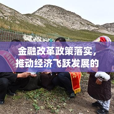 金融改革政策落实，推动经济飞跃发展的重大举措