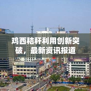 鸡西秸秆利用创新突破，最新资讯报道