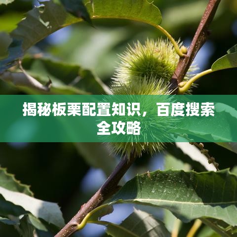 揭秘板栗配置知识,百度搜索全攻略