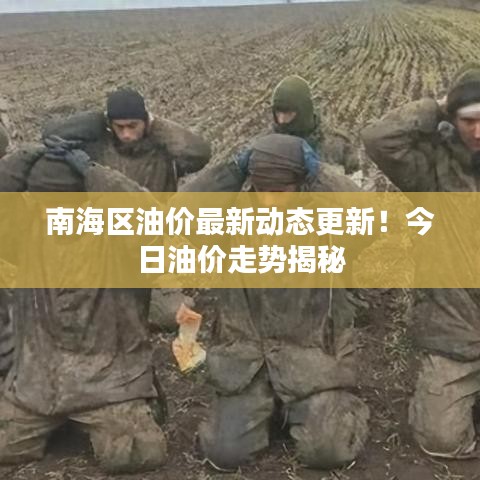 南海区油价最新动态更新！今日油价走势揭秘