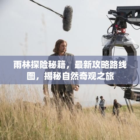 雨林探险秘籍，最新攻略路线图，揭秘自然奇观之旅