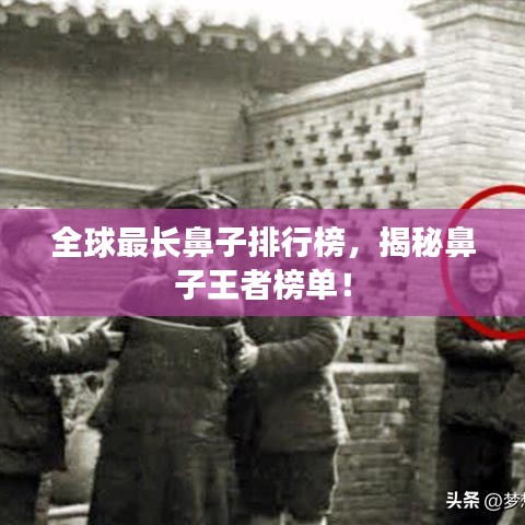 全球最长鼻子排行榜，揭秘鼻子王者榜单！