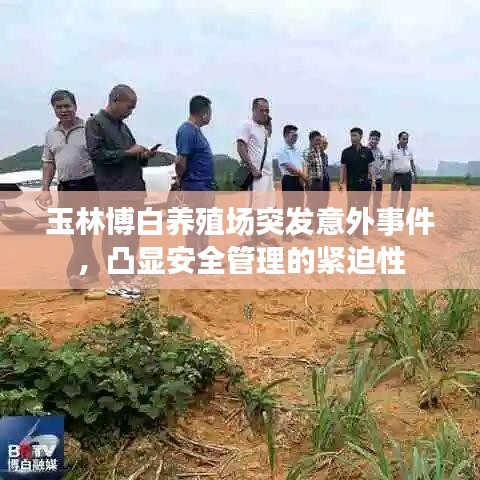 玉林博白养殖场突发意外事件，凸显安全管理的紧迫性