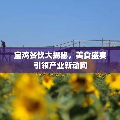 宝鸡餐饮大揭秘，美食盛宴引领产业新动向