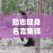 一往无前 第6页