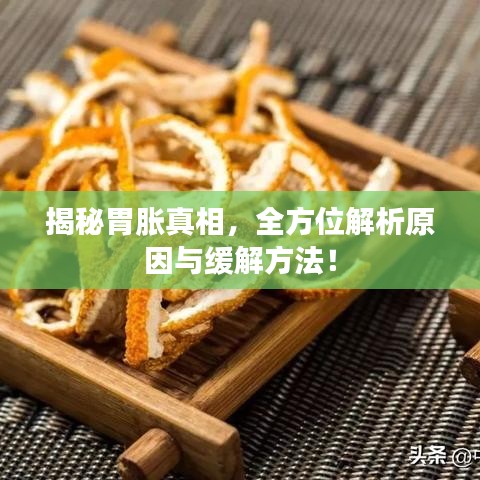 揭秘胃胀真相，全方位解析原因与缓解方法！