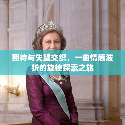 期待与失望交织，一曲情感波折的旋律探索之旅